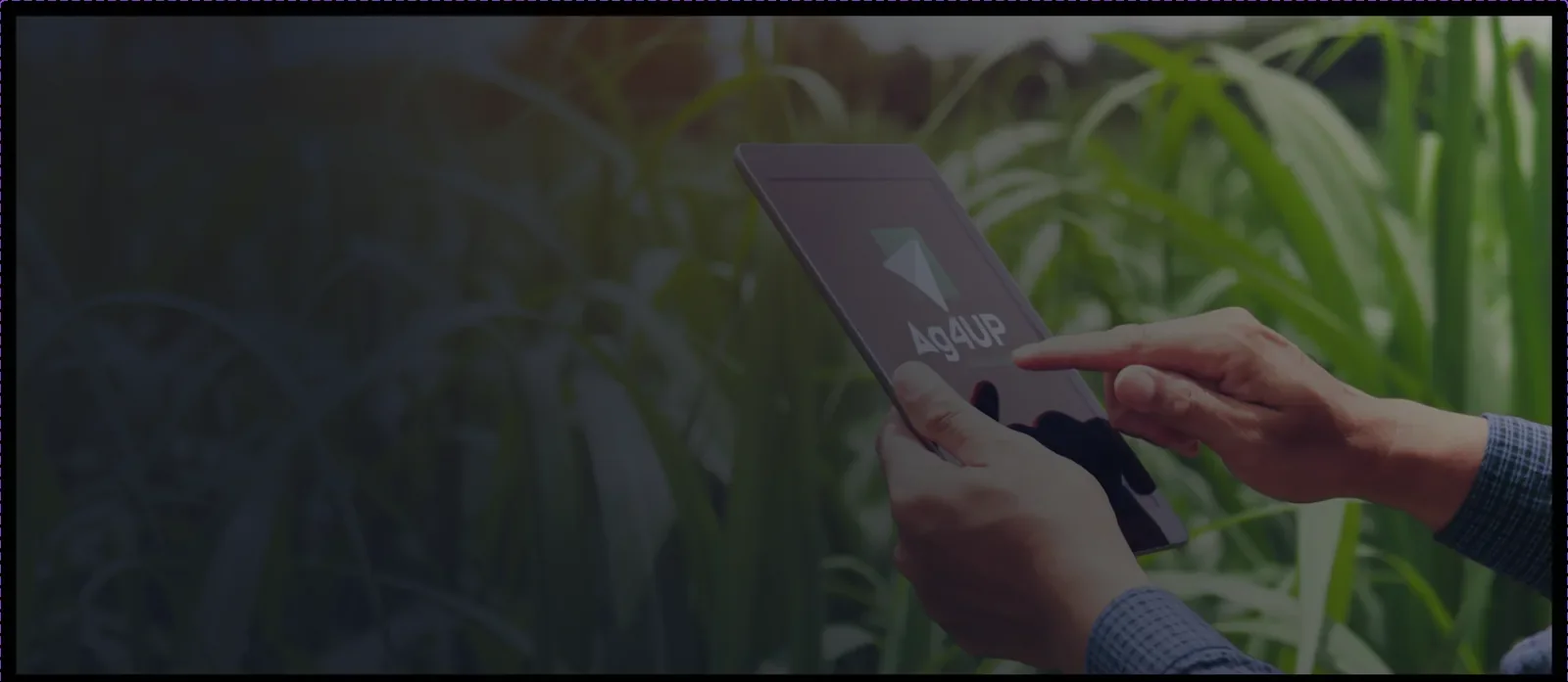 Um profissional do agronegócio analisando inteligência da AG4UP em um tablet no campo